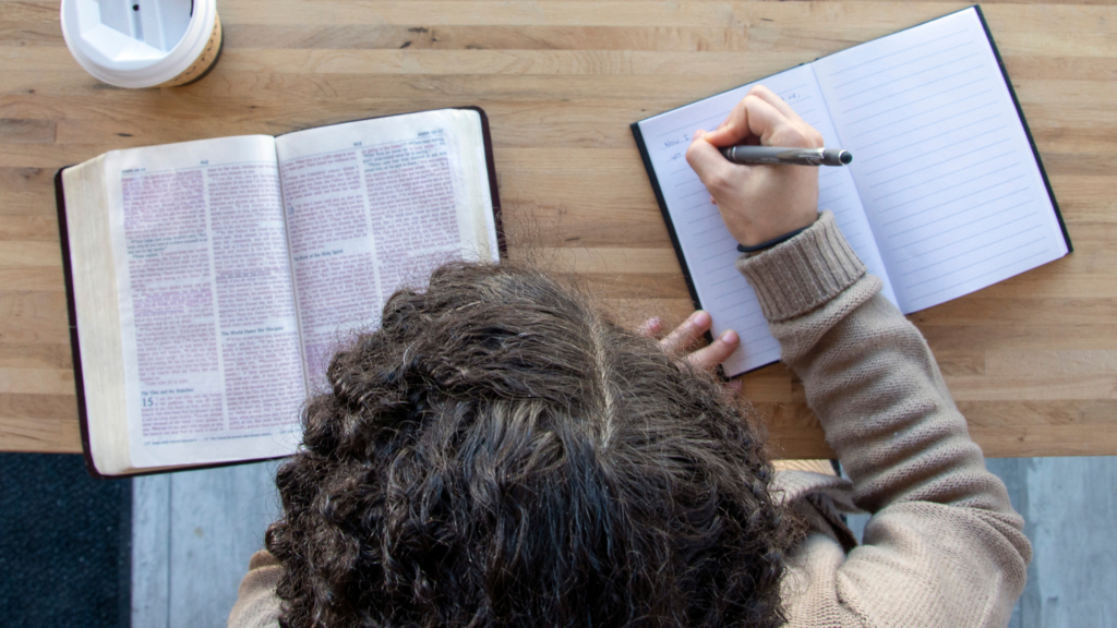 Bible study guide: Genesis to Revelation
