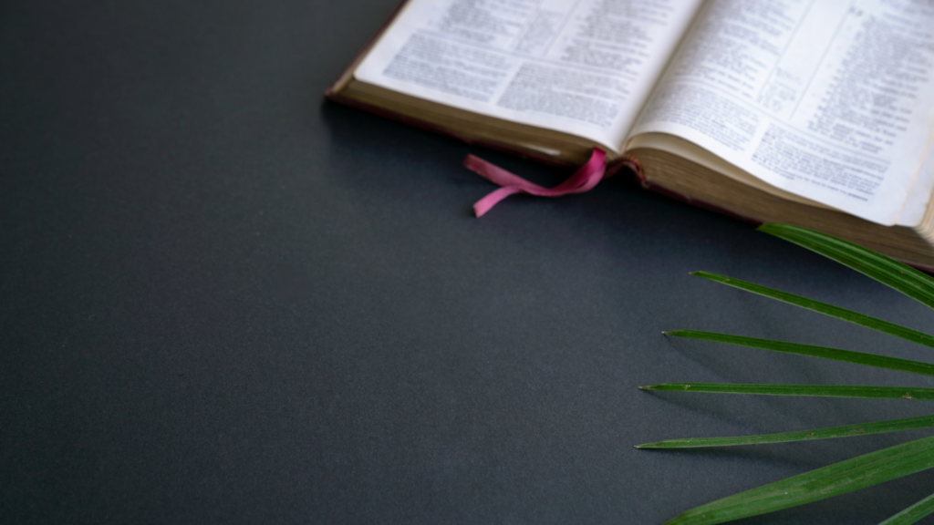 Bible study guide: Genesis to Revelation
