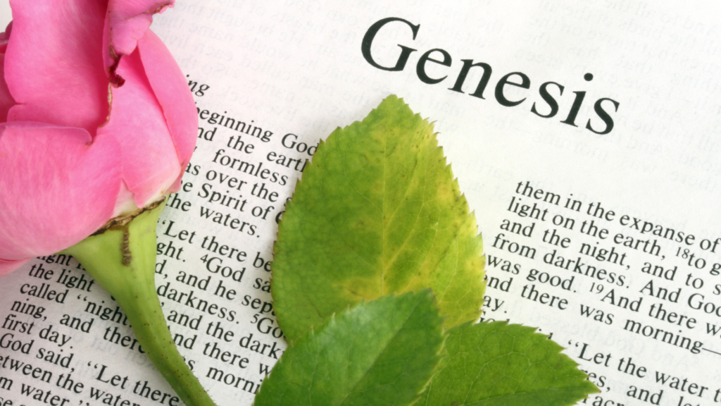 Bible study guide: Genesis to Revelation
