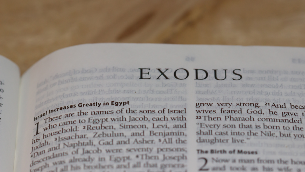 Bible study guide: Genesis to Revelation