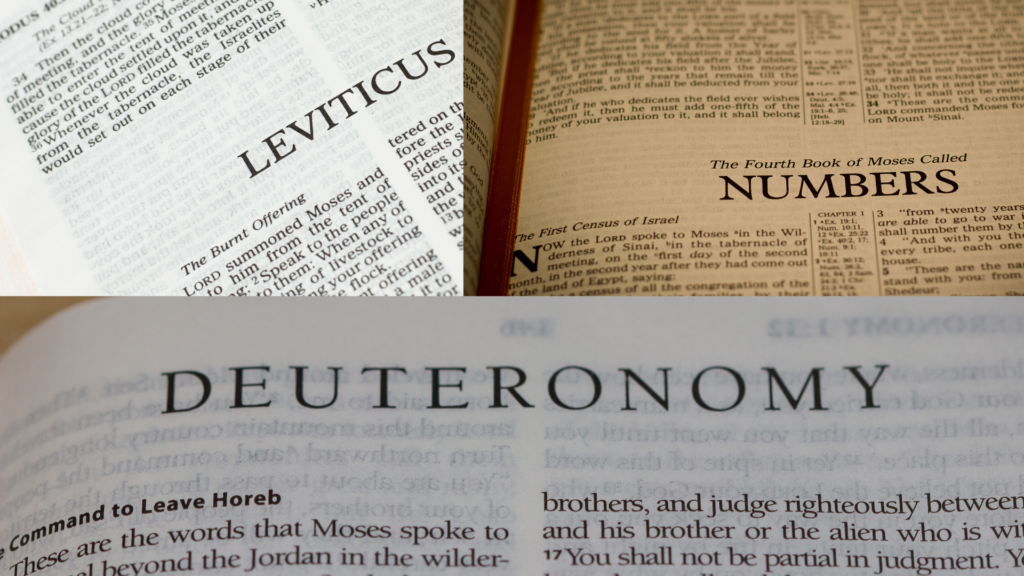 Bible study guide: Genesis to Revelation