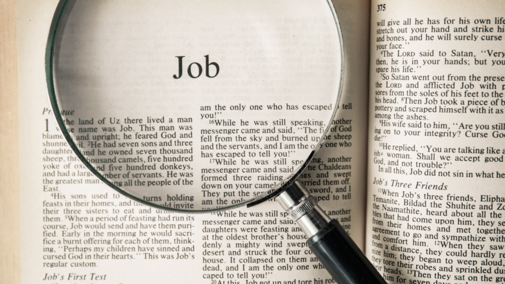 Bible study guide: Genesis to Revelation