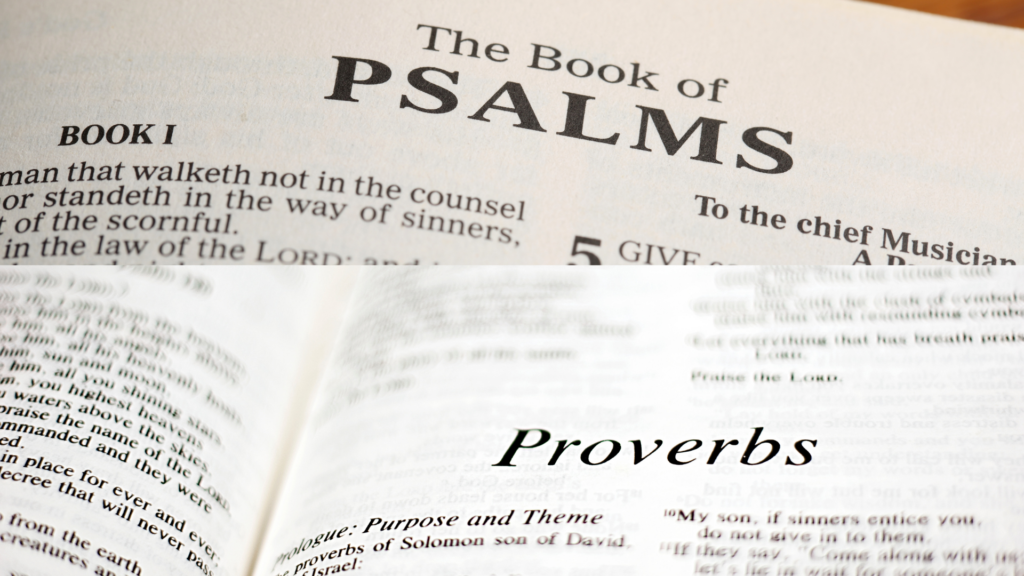 Bible study guide: Genesis to Revelation