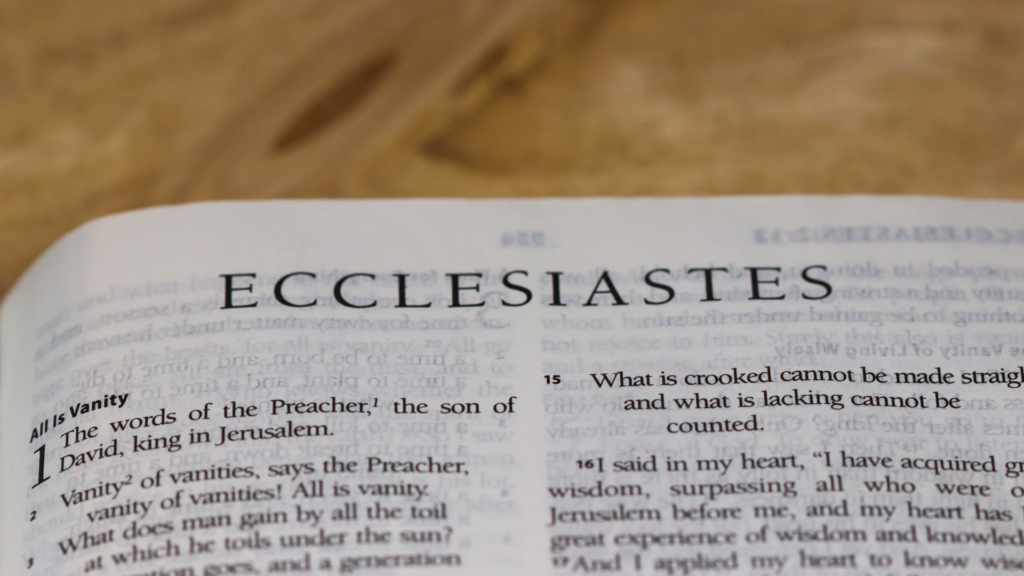 Bible study guide: Genesis to Revelation