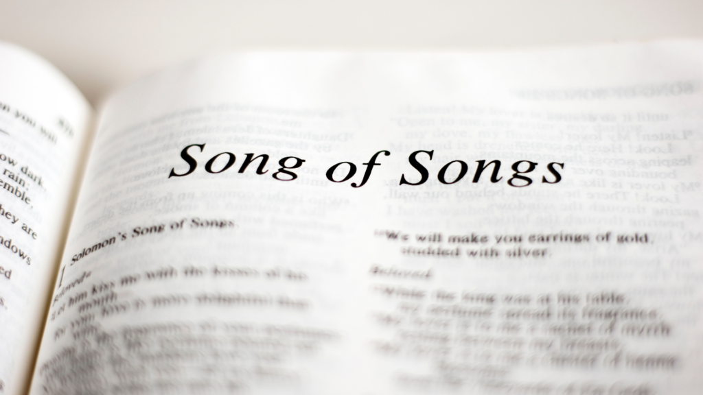 Bible study guide: Genesis to Revelation