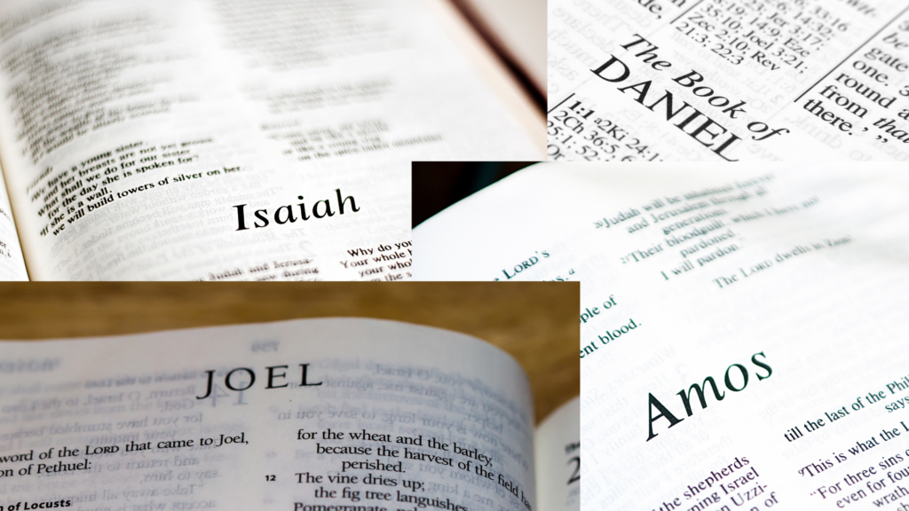 Bible study guide: Genesis to Revelation