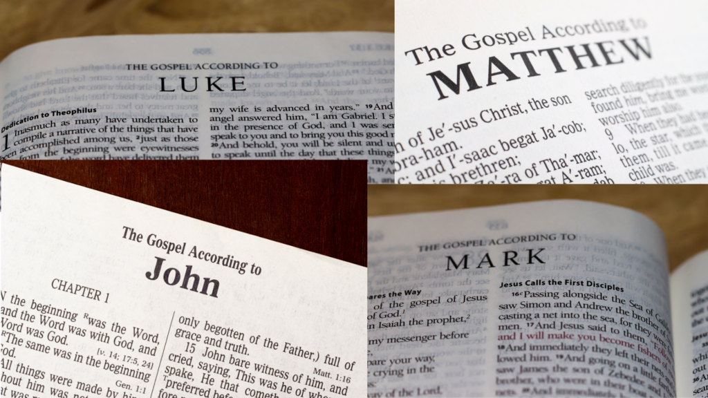 Bible study guide: Genesis to Revelation