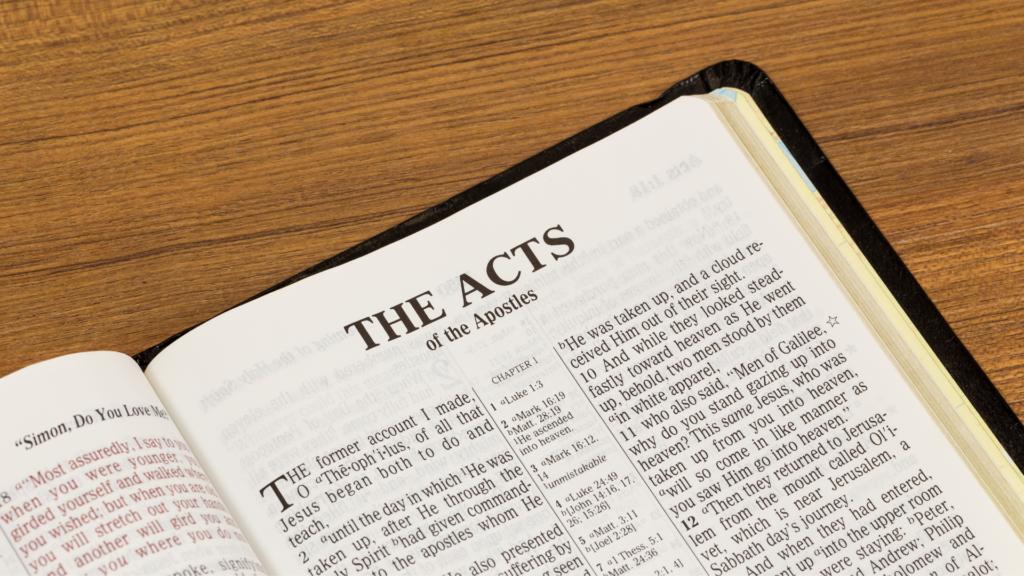 Bible study guide: Genesis to Revelation