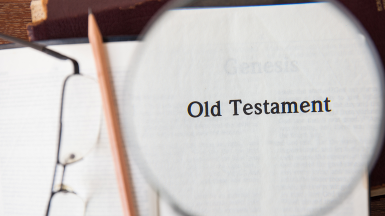 Old Testament Bible study guide
