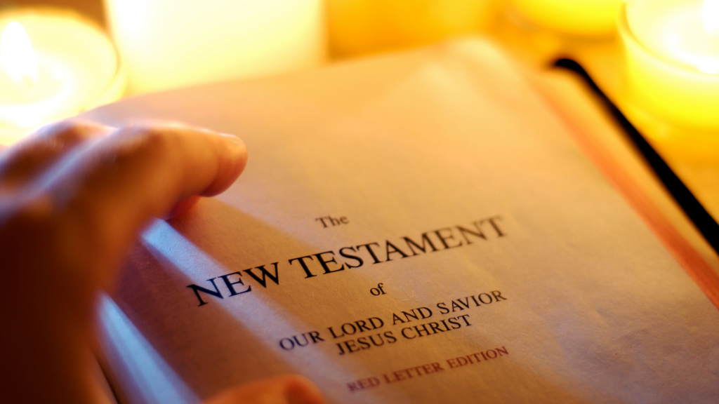 New Testament Bible study guide