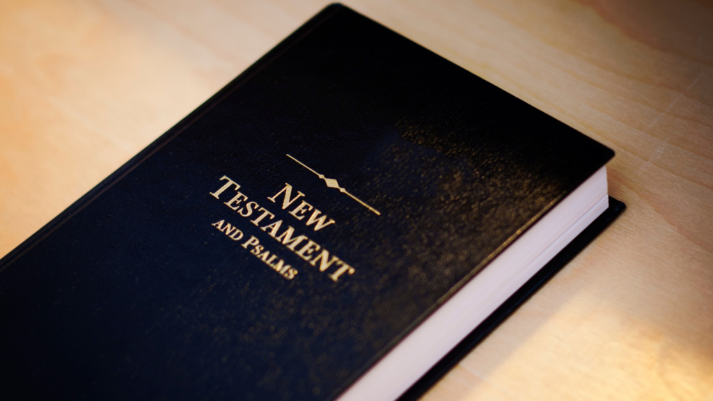 New Testament Bible study guide