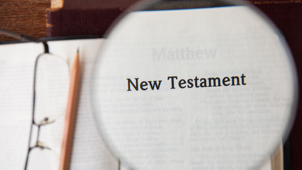 New Testament Bible study guide