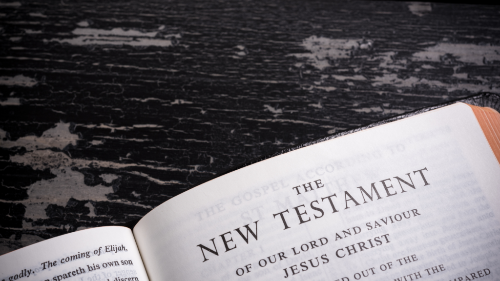 New Testament Bible study guide
