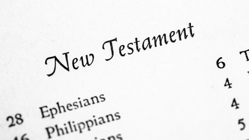 New Testament Bible study guide