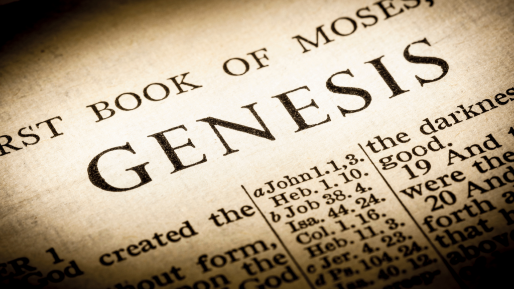 Genesis Bible study guide