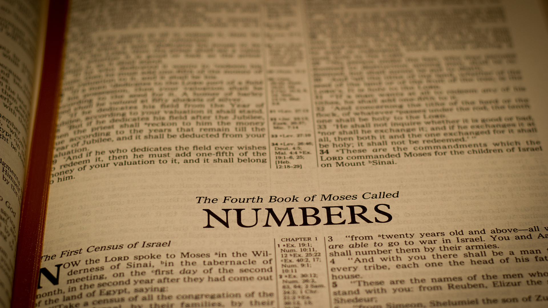 Numbers Bible study guide