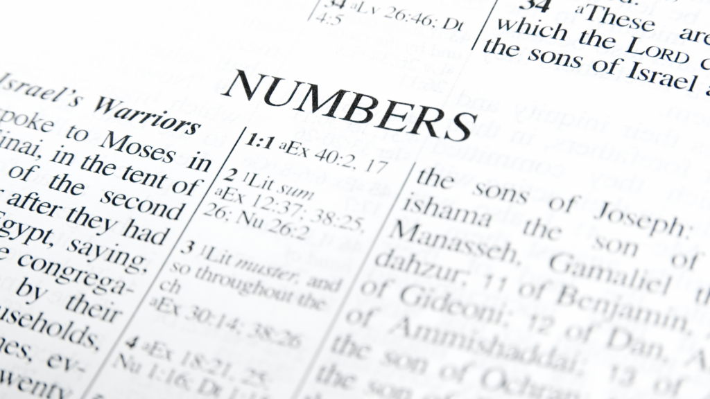 Numbers Bible study guide