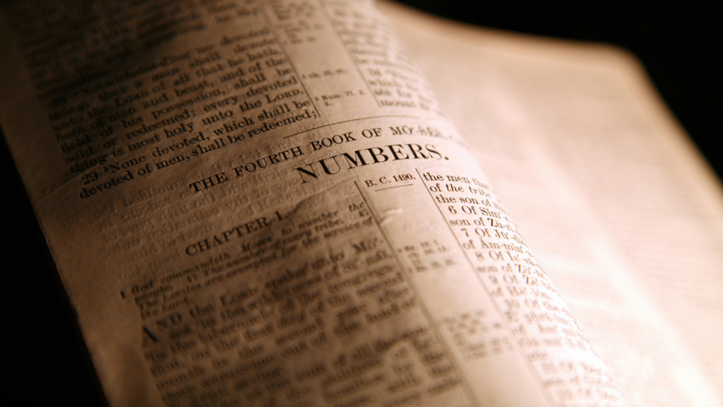 Numbers Bible study guide