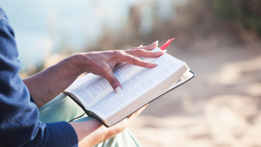 Numbers Bible study guide