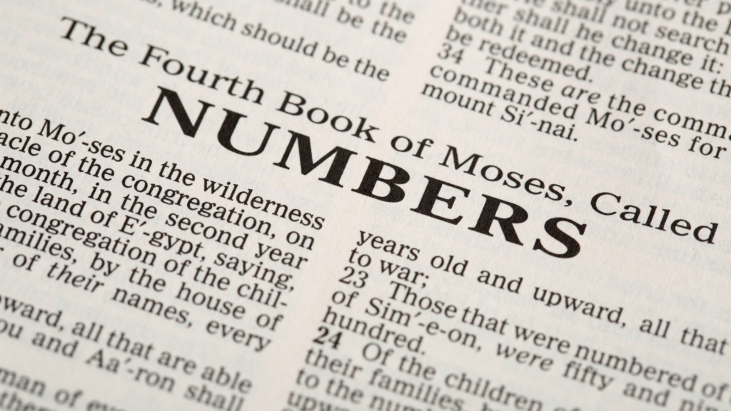 Numbers Bible study guide