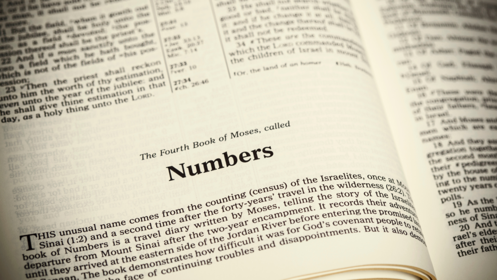 Numbers Bible study guide