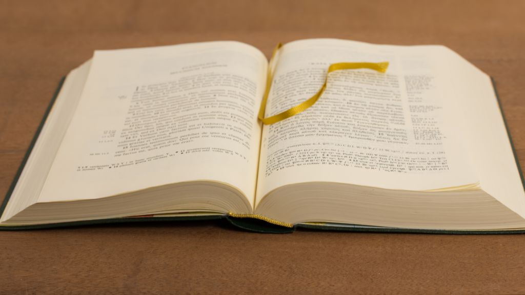 2 Kings Bible study guide