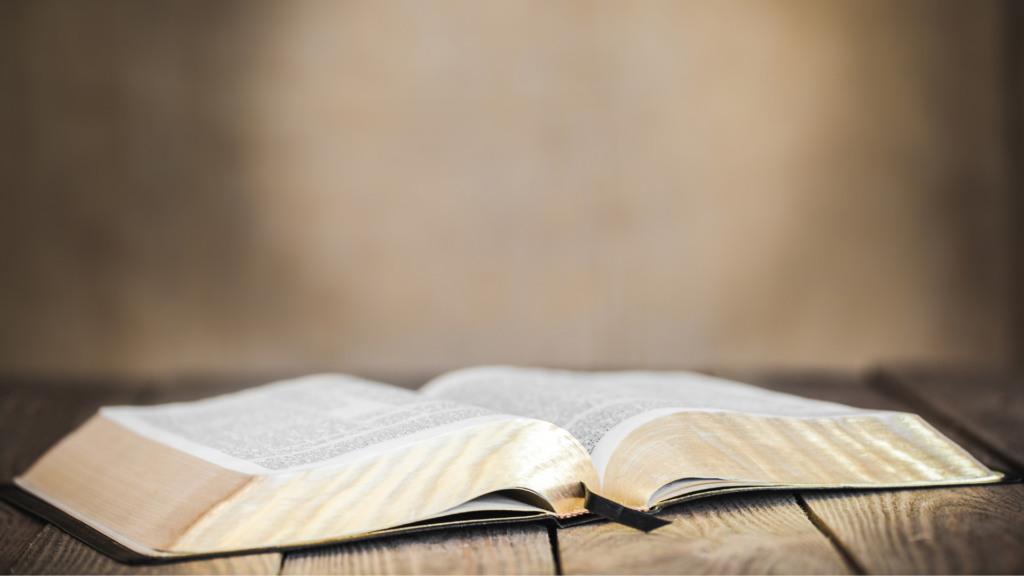 Philippians Bible study guide