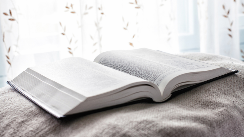 2 Kings Bible study guide