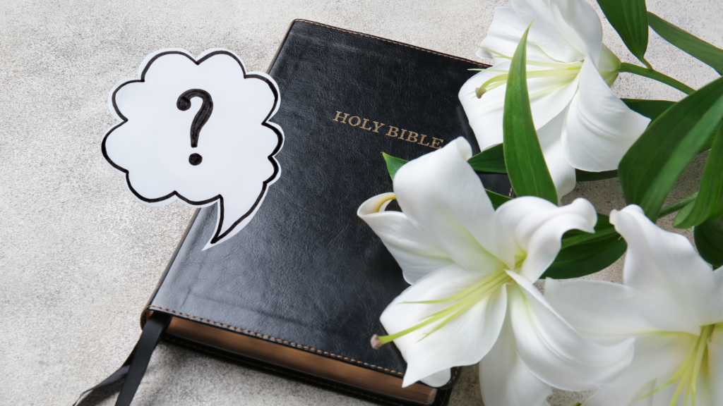 1 Timothy Bible study guide