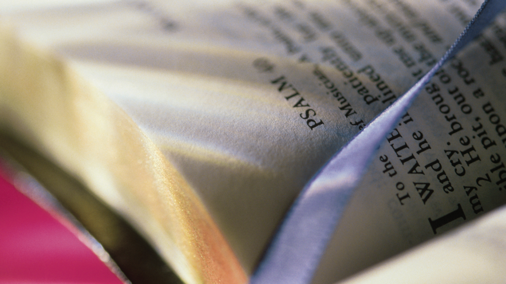 Psalms Bible study guide: 