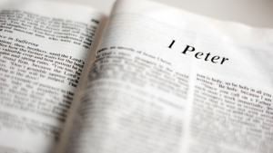 1 Peter Bible study guide