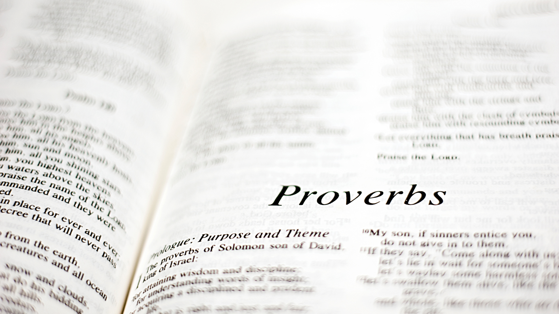 Proverbs Bible study guide
