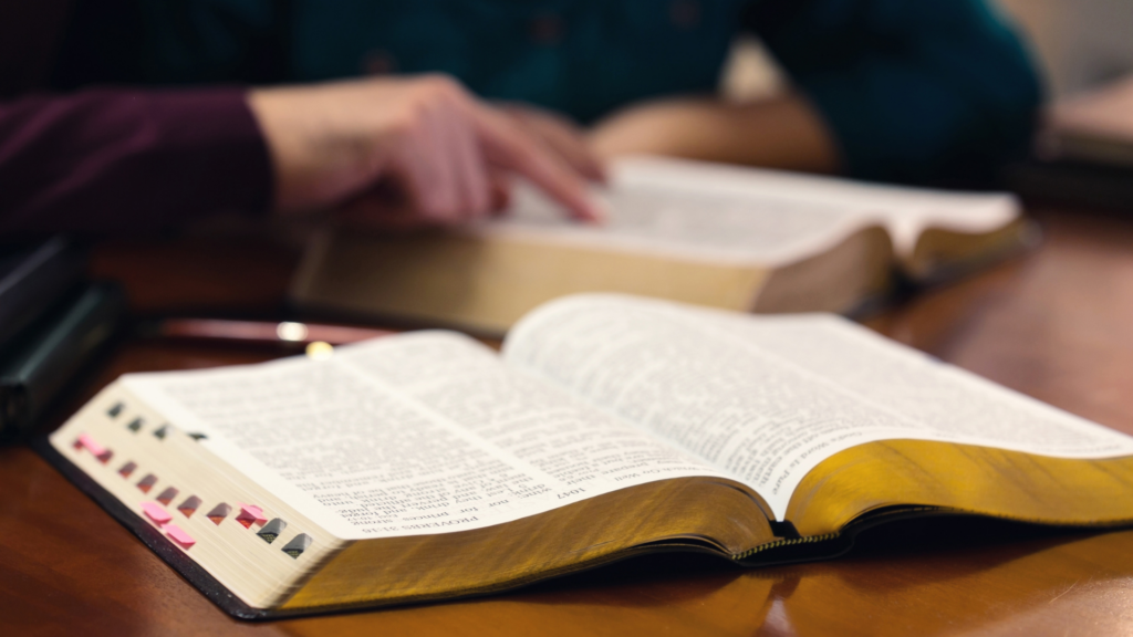 Proverbs Bible study guide