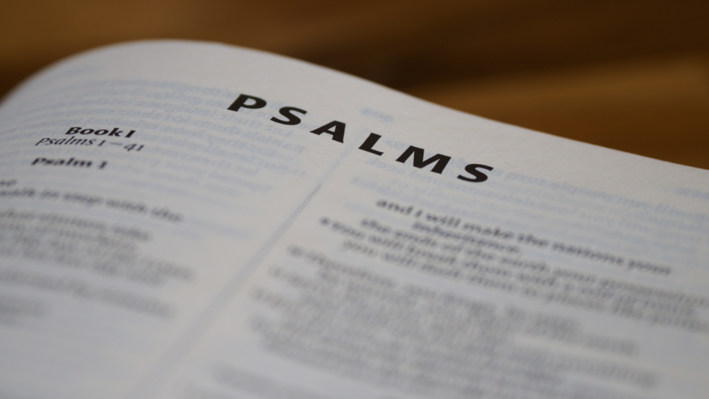 Psalms Bible study guide: 