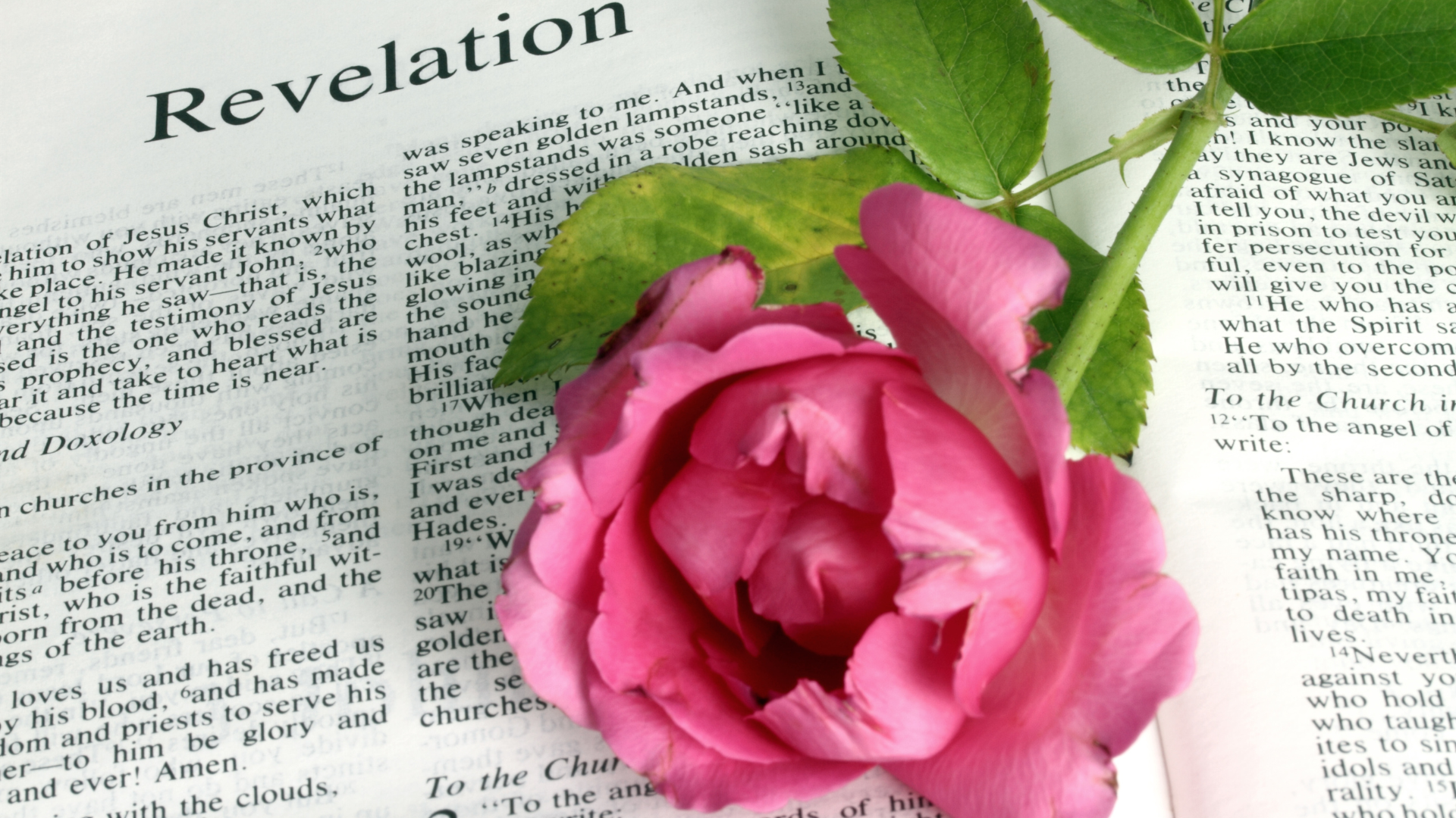 Revelation Bible study guide