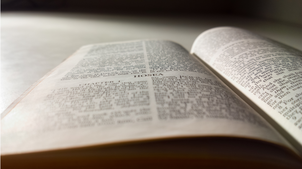 Hosea Bible study guide