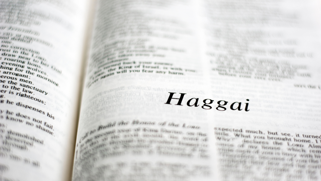 Haggai Bible study guide