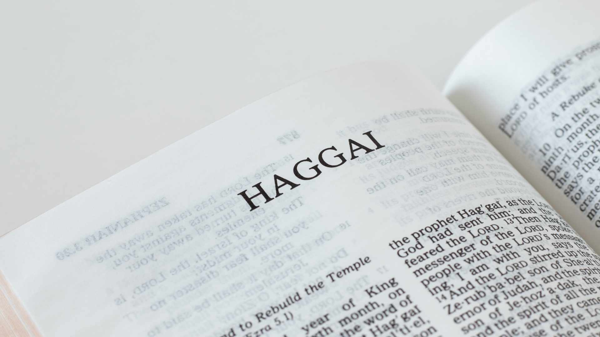 Haggai Bible study guide