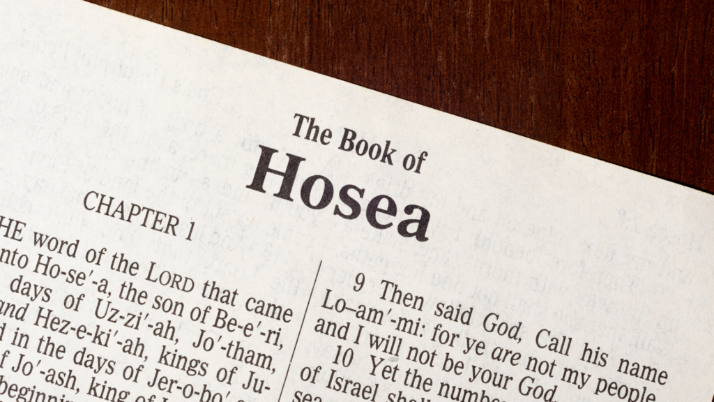 Hosea Bible study guide